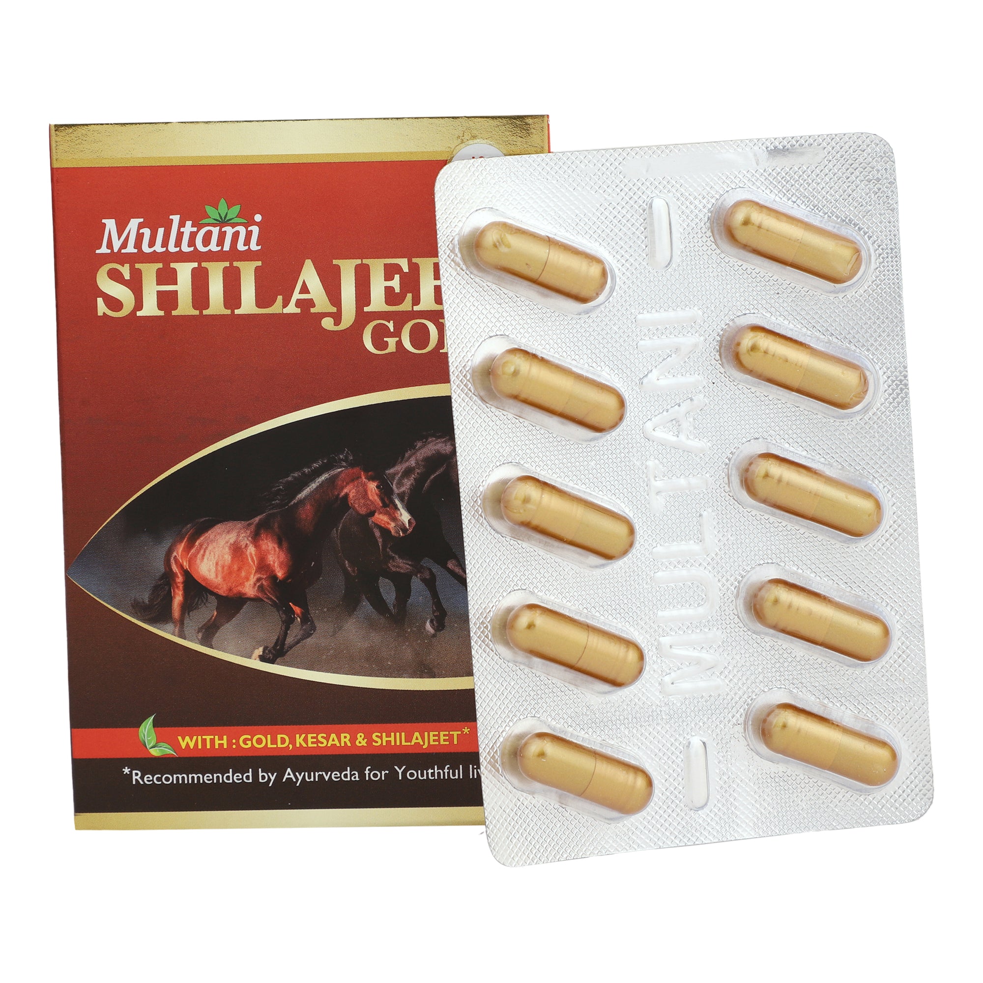 Multani Shilajeet Gold Strip of 10 QTY