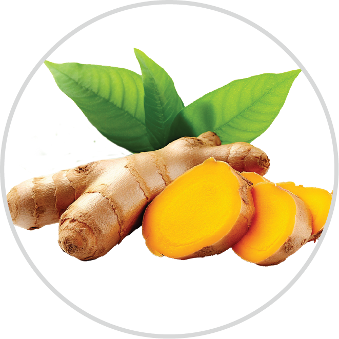 Turmeric