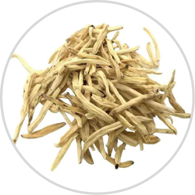 Safed musli