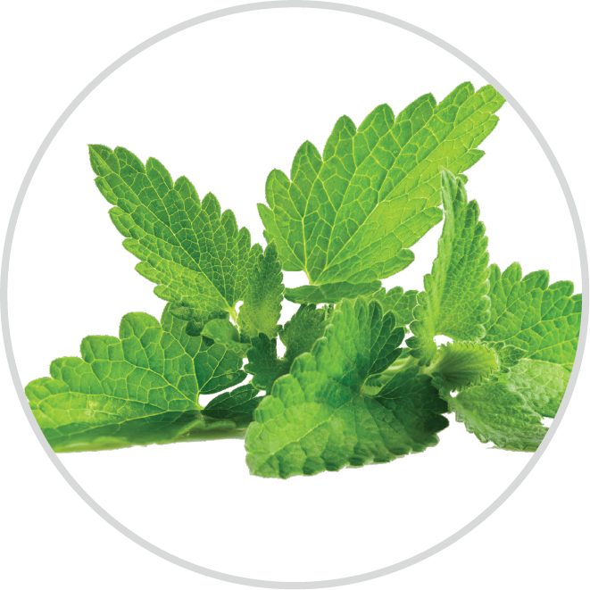 Neem