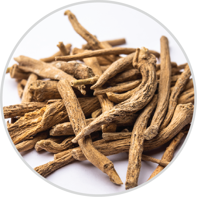 Ashwagandha