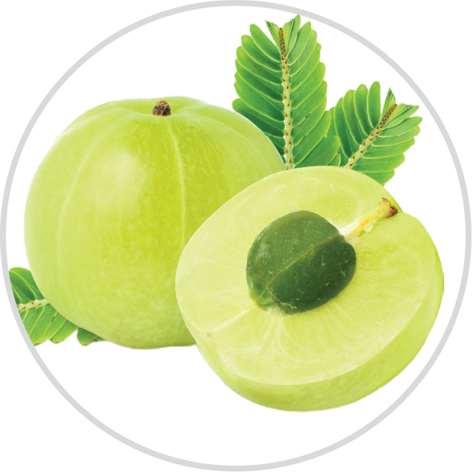 Amla